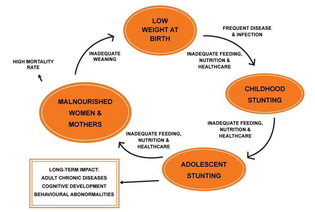 NOT-RECEIVING-VITAL-NUTRIENTS-IN-THE-FIRST-STAGES-OF-LIFE-CAN-HAVE-LONG-TERM-EFFECTS-ON-HEALTH-AND-MORE-1024x695